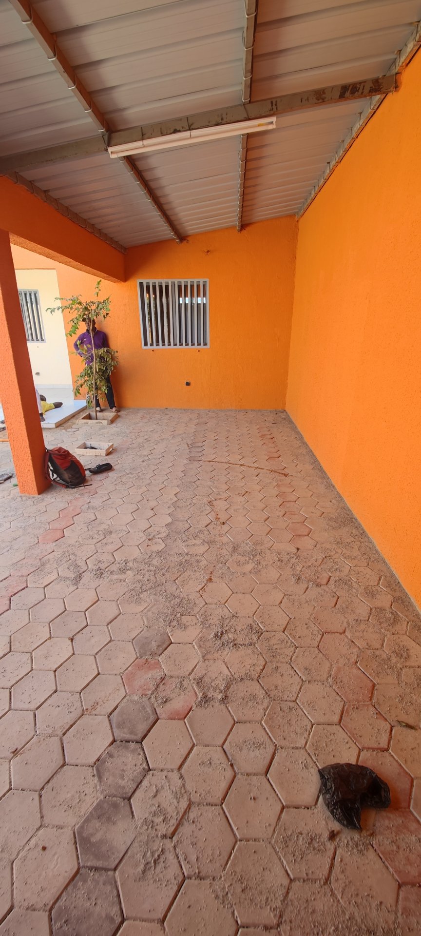 Image 4