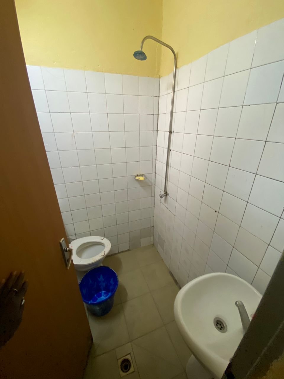 Image 5