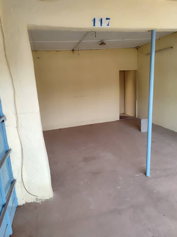 Image 6